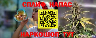 амф Бердск