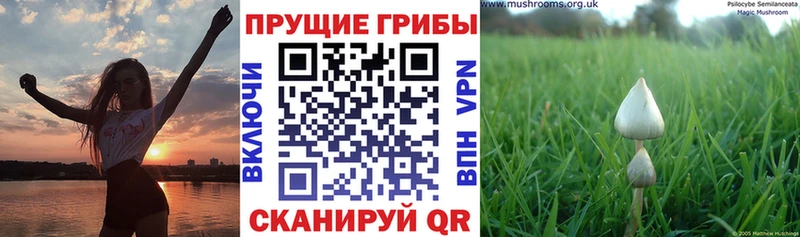 Галлюциногенные грибы Magic Shrooms  как найти   Североморск 