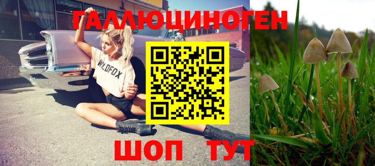 Галлюциногенные грибы MAGIC MUSHROOMS  Вход с VPN  Североморск  Галлюциногенные грибы Magic Shrooms 